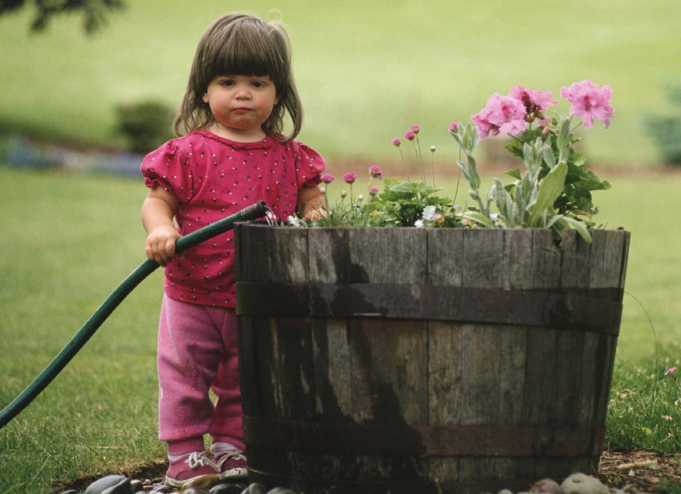 factors influencing language development in montessori essay